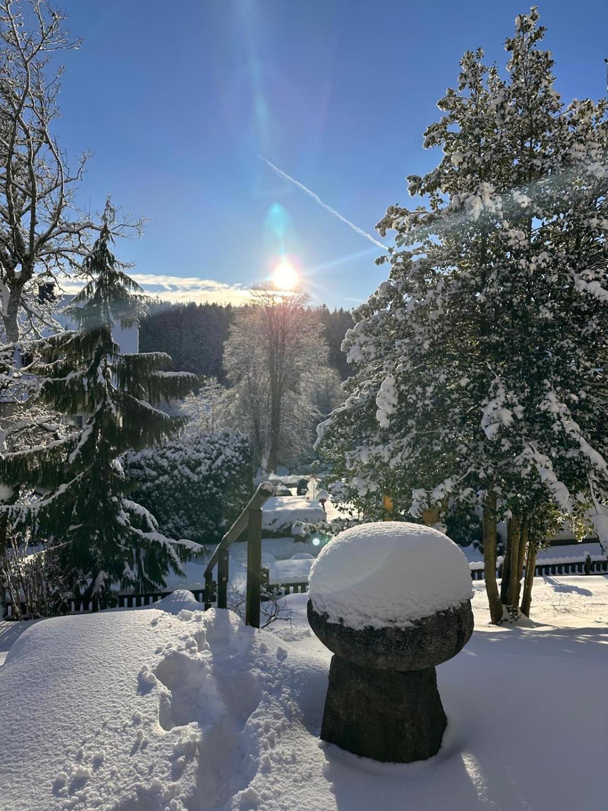 Boutique Hotel Dorer Schönwalde Exteriér fotografie